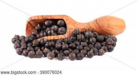 Dry Juniper Berries, Isolated On White Background. Common Juniper Fruits In Wooden Scoop.