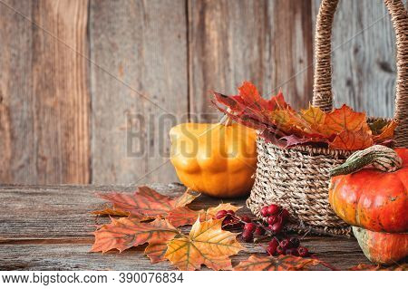 Autumn Nature Concept. Dogberry, Leaves In A Basket, Pumpkins On A Wooden Table.