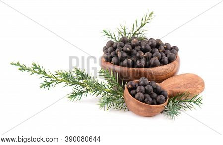 Dry Juniper Berries With A Green Branch, Isolated On White Background. Common Juniper Fruits In Wood