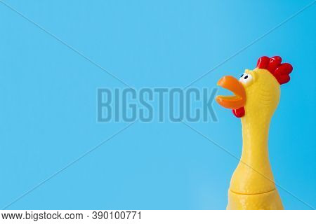 Squeaky Chicken Toy On Blue Background. Rubber Toy Chicken On Blue Background.