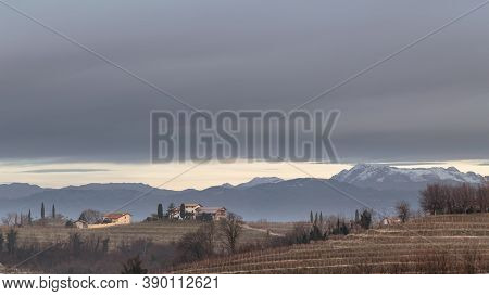 Cold Misty Morning In The Vineyards Of Italy