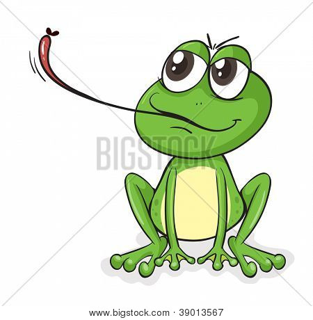 Beispiel für einen Frosch auf einen weißen Hintergrund