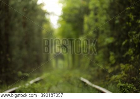 Natural Tunnel Of Love Formed By Trees In Ukraine, Klevan. Old Railway In The Beautiful Tunnel In Su