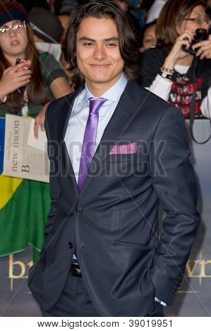 ロサンゼルス ロサンゼルス、カリフォルニア - 11 月 12 日: 俳優カイオワ ゴードン到着するミステリー佐賀の初演で： ブレア