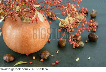 Ripe Big Pumpkin, Autumn Berries And Chestnuts On The Dark Background Close-up As Symbol Of Hallowee