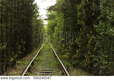 Natural Tunnel Of Love Formed By Trees In Ukraine, Klevan. Old Railway In The Beautiful Tunnel In Su