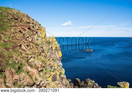 Hafnarholmi Cliff In Borgarfjordur Eystri In East Iceland