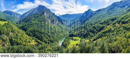 Moracha River In The Valley Of The Mountains In Montenegro