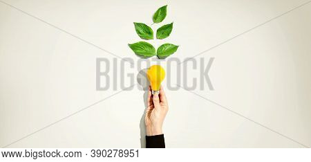 Person Holding A Light Bulbs With Green Leaves