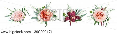 Vector Floral Bouquet Design: Pale Coral Juliette Rose Flower, Dusty Pink, Peach Roses, Burgundy Red
