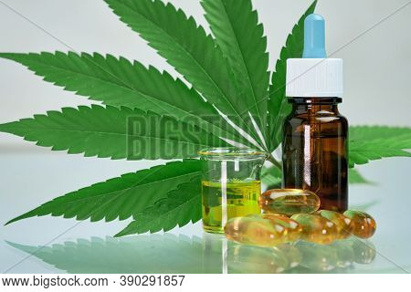 Cannabis Hemp Oil Cbd In A Capsules Or Pills And Bottle Laying On The Fresh Green Marijuana Leaf On 