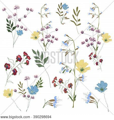 Hand Drawn Flower Collection. Big Set Botanic Branches, Leaves, Foliage, Herbs, Wild Plants In Bouqu