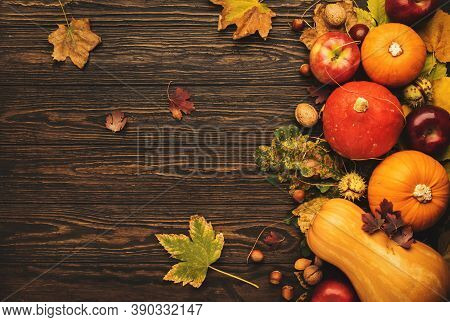 Thanksgiving Background, Food Autumn Harvest Concept. Rustic Table With Apples, Pumpkins, Nuts, Grap
