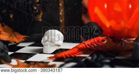 Halloween Party Set Up Props. White And Black Sculls With Jack Olantern Pumpkin. Death Symbol. Fear 
