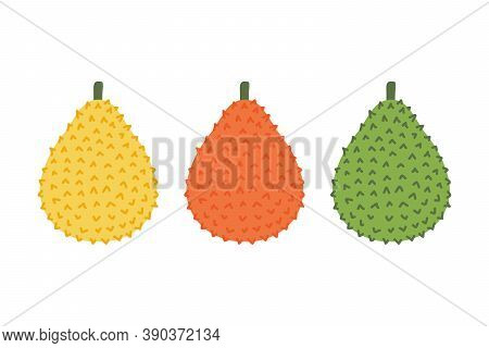 Set, Collection Of Colorful Gac Fruits Or Baby Jack Fruits. Trendy Superfood Vector Icons.
