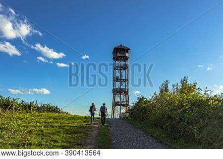 Wooden Observation Tower And Vineyards In South Moravia,czech Republic. Weekend Getaway To Nature.su