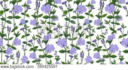 V Nca M Nor Fritillaria. Pattern For Textile And Fabric. Little Blue Flowers On A White Background. 