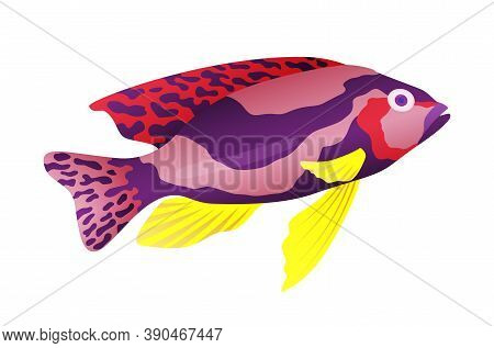 Decorative Sea Or Aquarium Fish On White Background. Freshwater Or Saldwater Aquarium Cartoon Fish. 