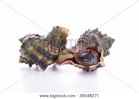 pústula isolada