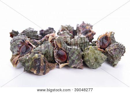 pústula isolada