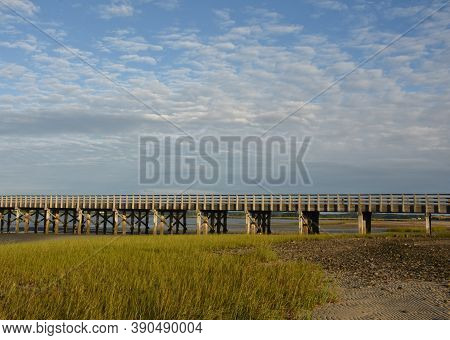 Lush Marsh Grass Growing On Beach In Duxbury.