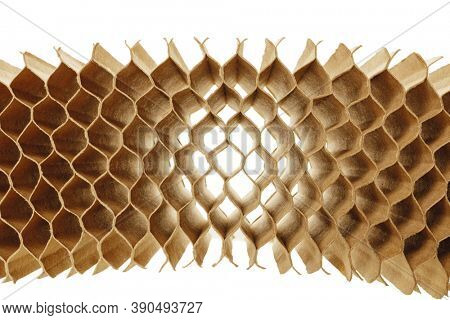 honeycomb cells of cardboard stiffening rib background