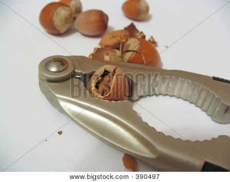 NUTS 1