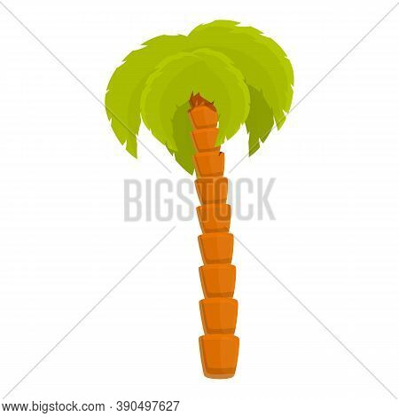 Madagascar Palm Tree Icon. Cartoon Of Madagascar Palm Tree Vector Icon For Web Design Isolated On Wh