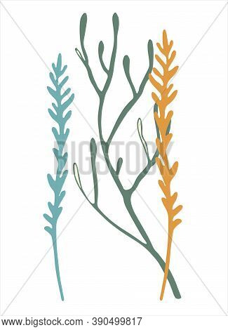 Moss Branches Colorful Line Art. Hand Drawn Vector Illustration For Decoration Purposes. Isolated On