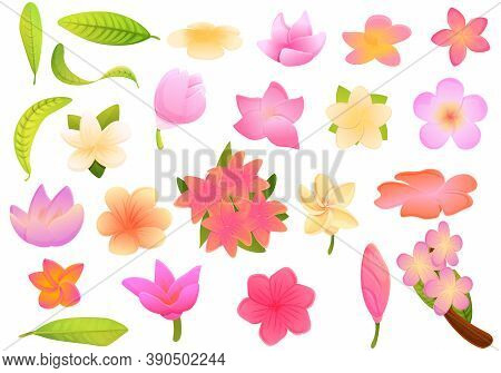 Plumeria Icons Set. Cartoon Set Of Plumeria Vector Icons For Web Design