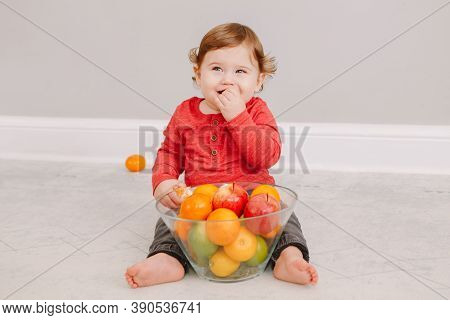 Cute Adorable Caucasian Baby Boy Eating Citrus Fruit. Finny Child Eating Healthy Organic Snack. Soli