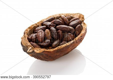 Fresh Roasted Cocoa Beans In A Cocoa Pod On White Background. Healthy Superfood.