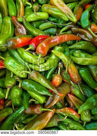 Fresh Hot Pepper. Harvest. Summer Vegetables. Top View