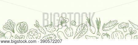 Horizontal Background With With Various Vegetables And A Place For Text. Vegan Backdrop With Organic