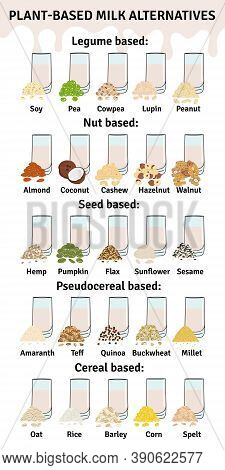 Set Of Glasses With Plant-based Milk. Vegan Milk Types Infographic