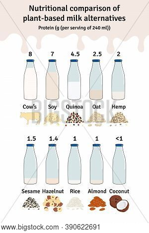 Set Of Bottles With Plant-based Milk. Vegan Milk Protein Infographic
