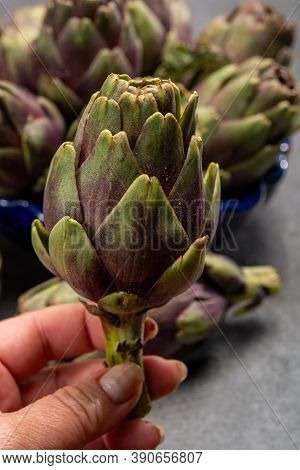 Fresh French Petit Violet Artichokes Heads Cultivted In Brittany, France