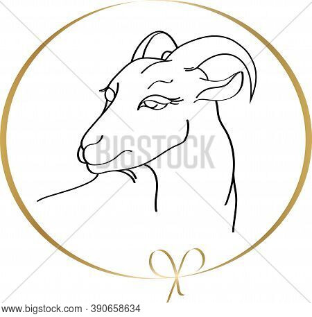 Goat Frame Round Handdrawn Goat Round Vector & Photo (Free Trial) | Bigstock