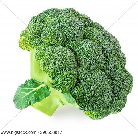 Broccoli Isolated On White Background. Raw Broccoli Vegetable  Close Up