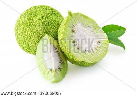 Osage Oranges (maclura) Isolated On White Background. Hedge Apple Close Up