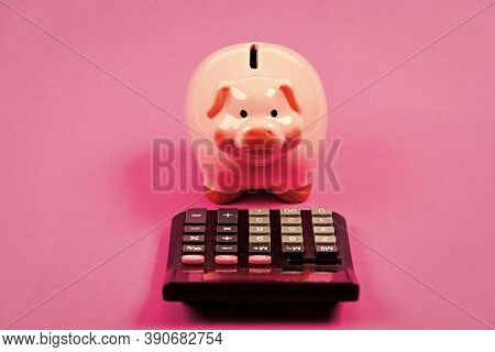 Piggy Bank Money Savings. Investing Gain Profit. Pay Taxes. Calculate Taxes. Piggy Bank Pig And Calc