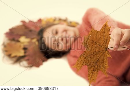 Take It. Child Giving Leaf Close Up. Girl Cute Kid Long Hair Lay On White Background With Fallen Lea