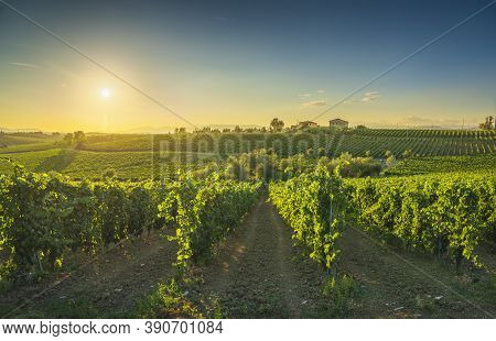 Chianti Vineyards And Panorama At Sunset. Cerreto Guidi, Tuscany, Italy Europe.