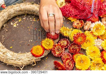 Florist At Work, Make Autumn Wreath With Strawflower