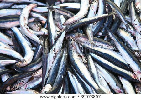 Fish Market