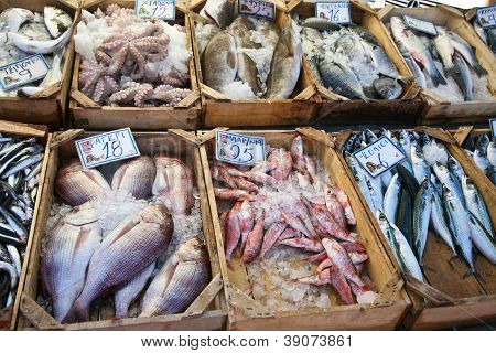 Fish Market