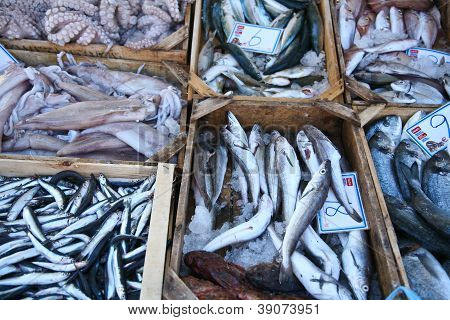 Fish Market