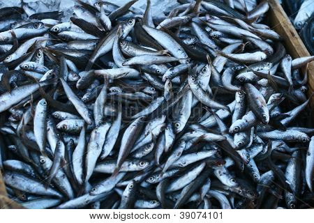 Fisk