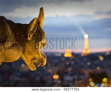 Pohled z Notre Dame