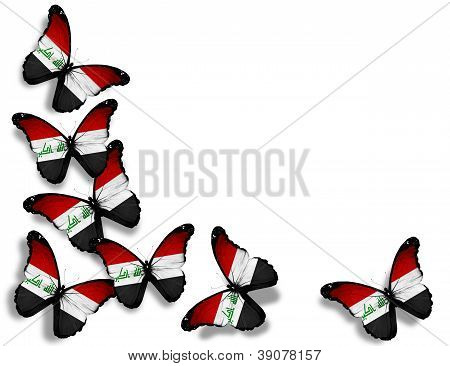 Irakin lippu perhosia, eristetty valkoisella taustalla